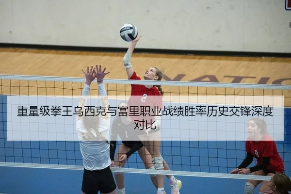 重量级拳王乌西克与富里职业战绩胜率历史交锋深度对比